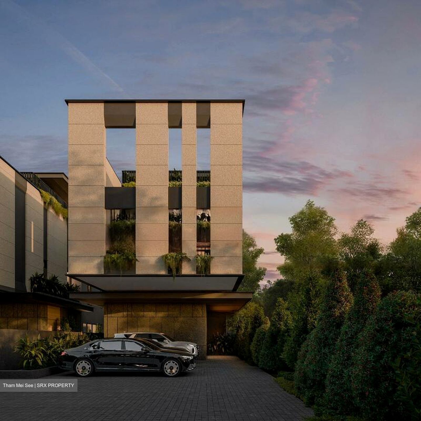 Palm Road (D15), Detached #483327631